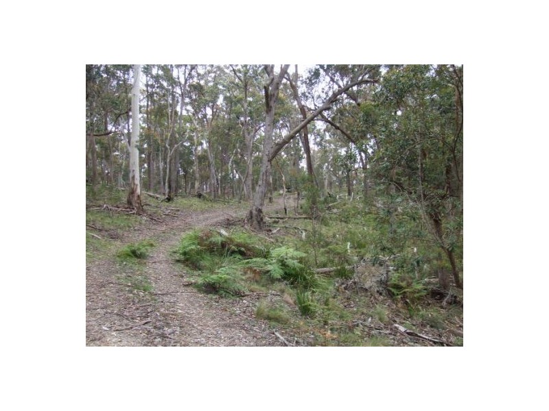 Lot 76 Ten Mile Rd, Deepwater NSW 2371