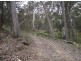 Lot 76 Ten Mile Rd, Deepwater NSW 2371