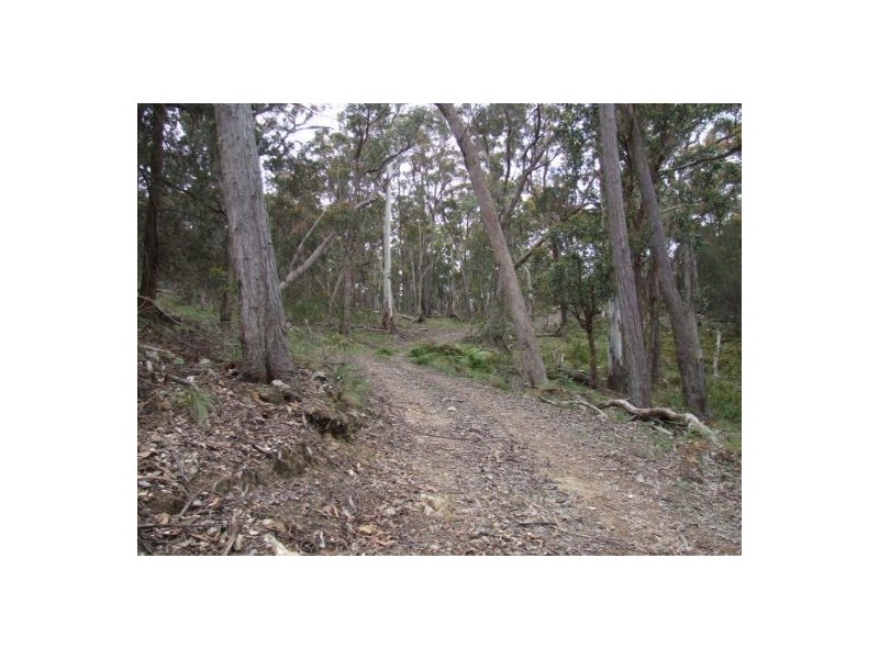 Lot 76 Ten Mile Rd, Deepwater NSW 2371