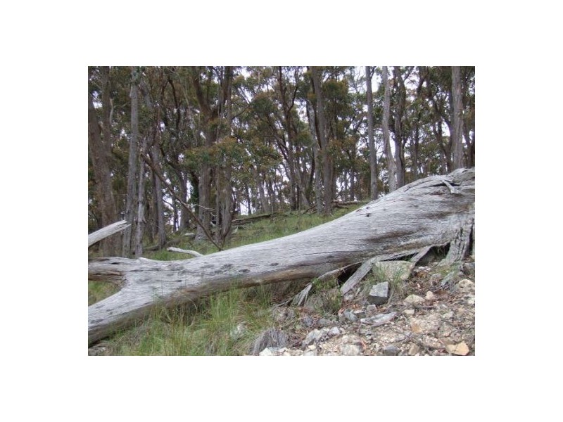 Lot 76 Ten Mile Rd, Deepwater NSW 2371