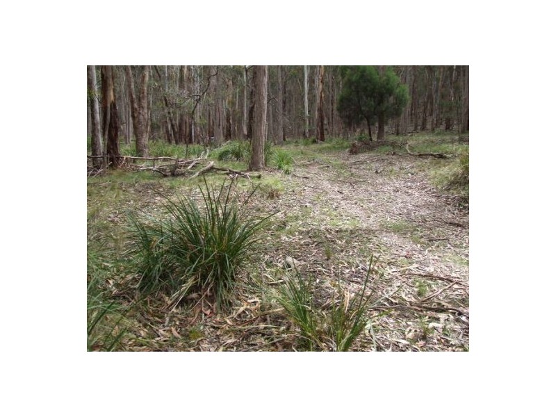 Lot 76 Ten Mile Rd, Deepwater NSW 2371
