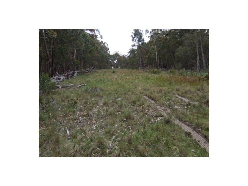 Lot 76 Ten Mile Rd, Deepwater NSW 2371