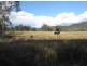 Tabulam NSW 2469
