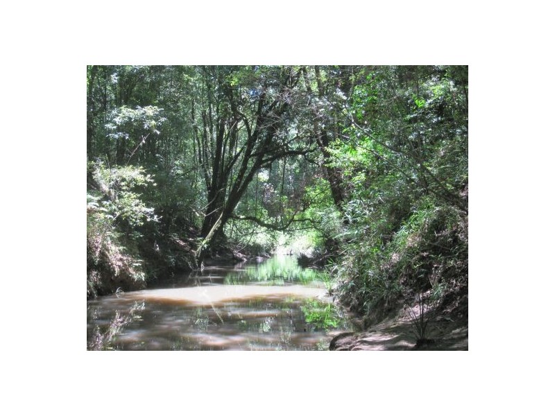 Lillian Rock NSW 2480