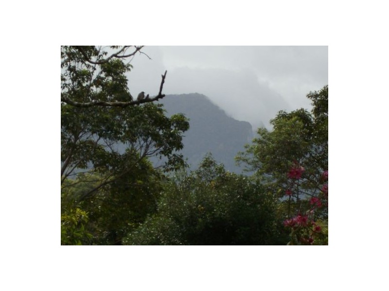 Lillian Rock NSW 2480