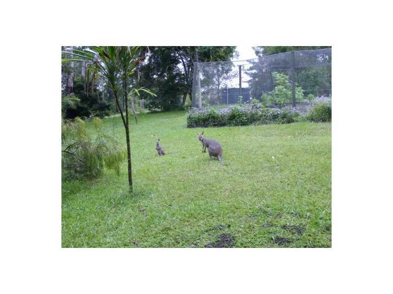 Lillian Rock NSW 2480