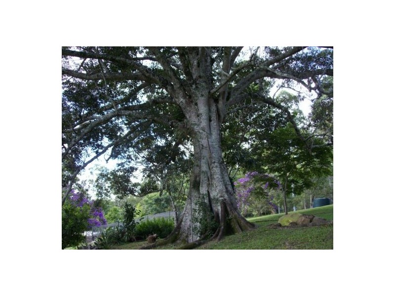 Lillian Rock NSW 2480