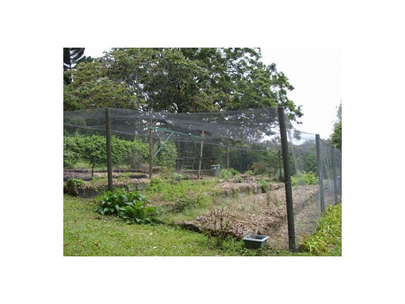 Lillian Rock NSW 2480