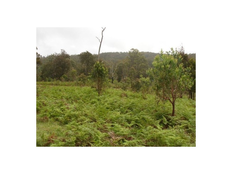 34 BULLDOG ROAD, Tabulam NSW 2469