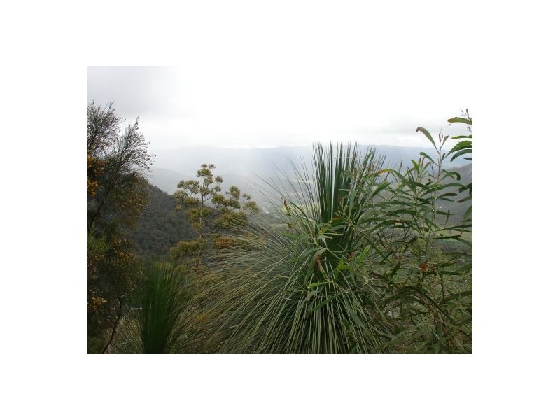 34 BULLDOG ROAD, Tabulam NSW 2469