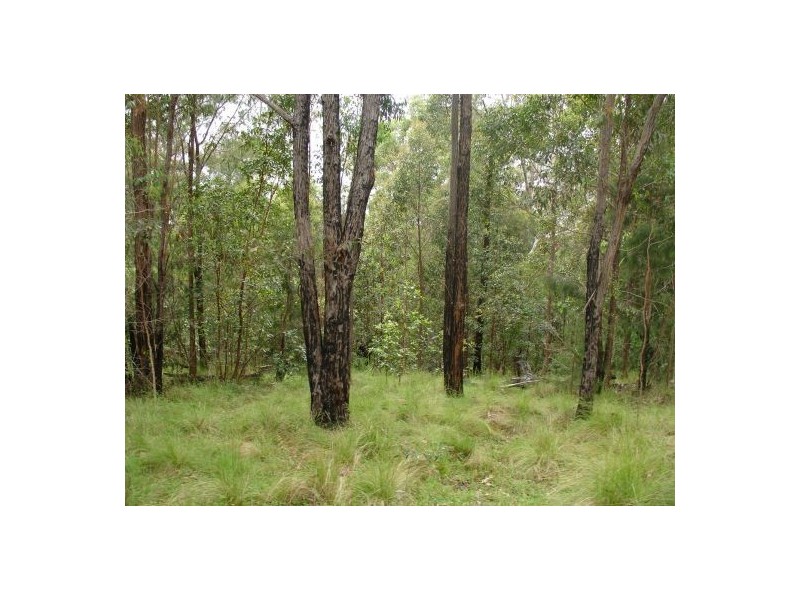 34 BULLDOG ROAD, Tabulam NSW 2469