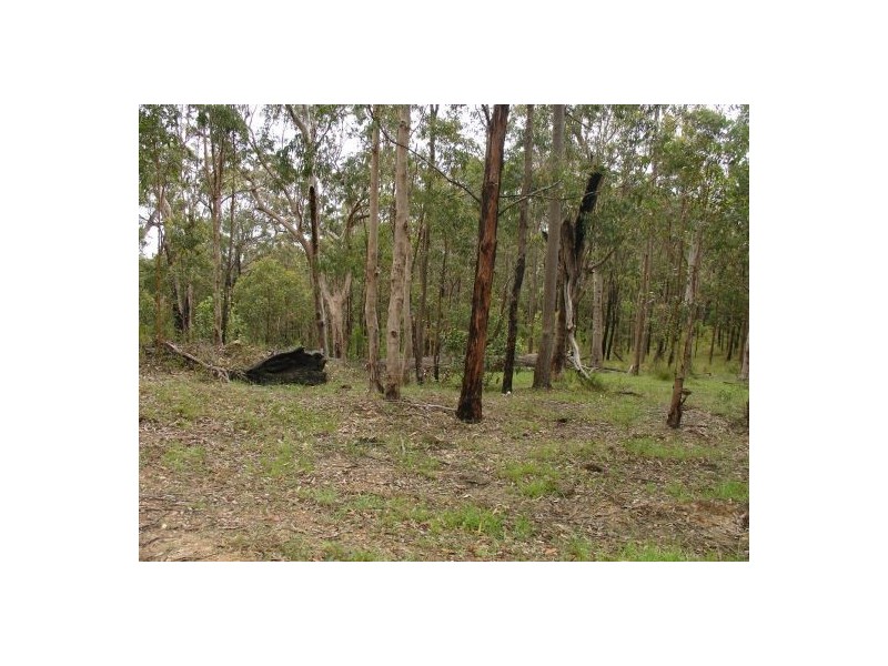 34 BULLDOG ROAD, Tabulam NSW 2469