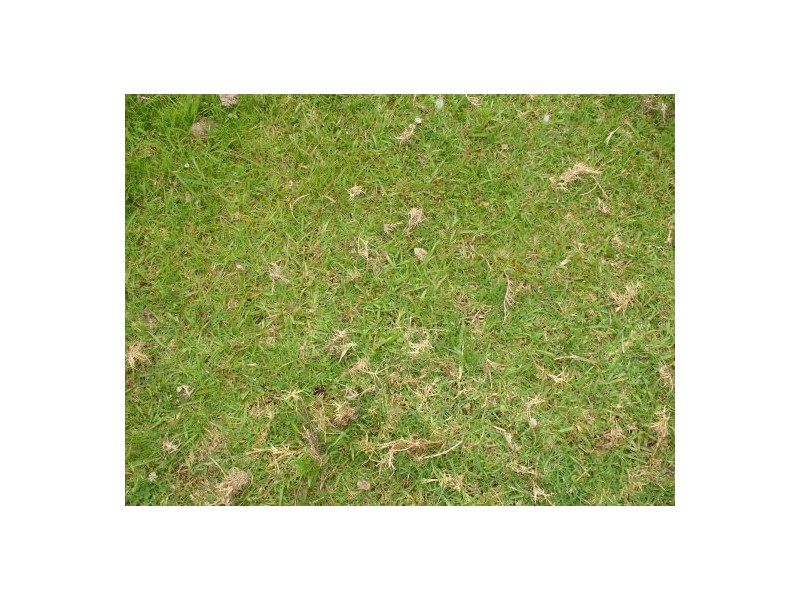 34 BULLDOG ROAD, Tabulam NSW 2469