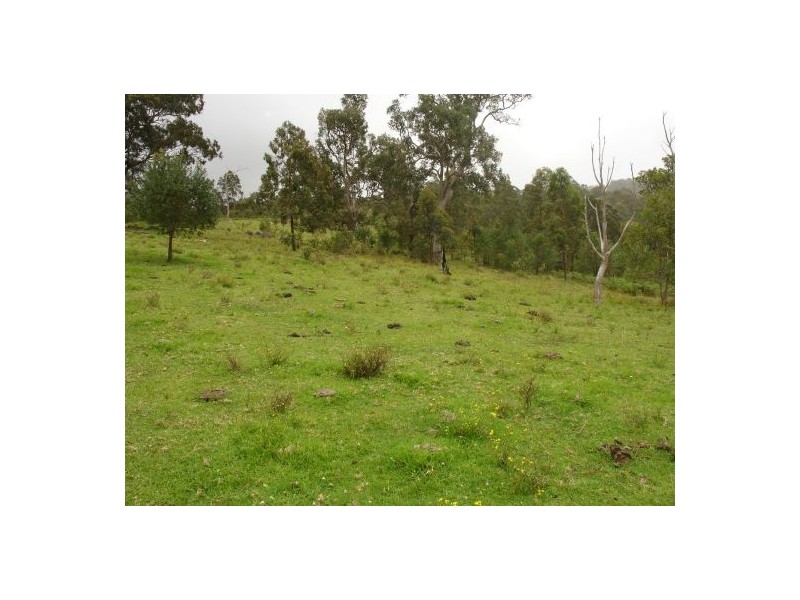 34 BULLDOG ROAD, Tabulam NSW 2469