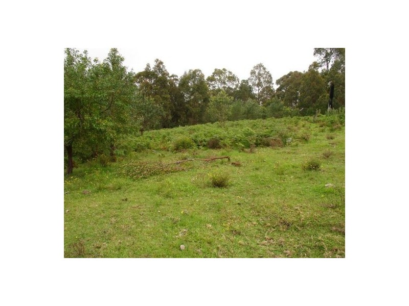 34 BULLDOG ROAD, Tabulam NSW 2469