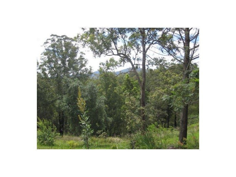 Drake NSW 2469
