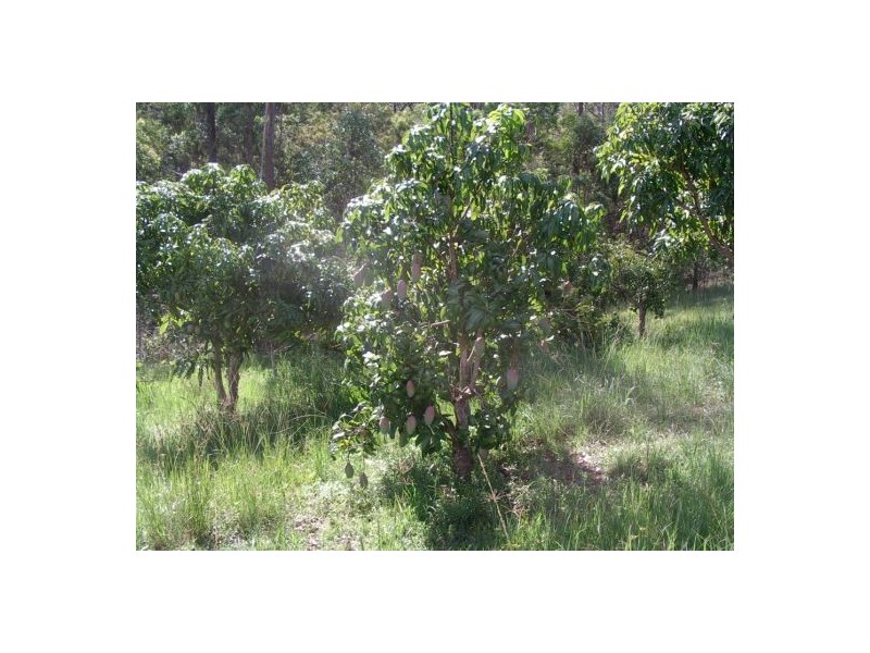 Lot 8 Bulldog Rd, Tabulam NSW 2469