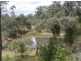 Lot 8 Bulldog Rd, Tabulam NSW 2469