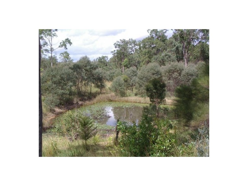 Lot 8 Bulldog Rd, Tabulam NSW 2469