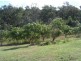 Lot 8 Bulldog Rd, Tabulam NSW 2469