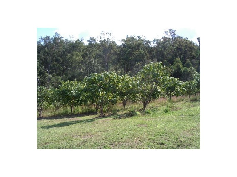 Lot 8 Bulldog Rd, Tabulam NSW 2469