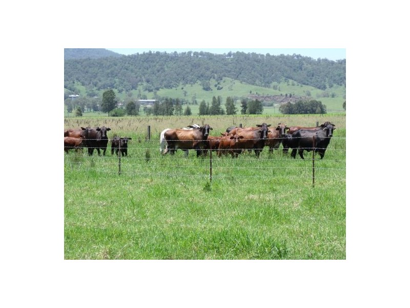 Kyogle NSW 2474