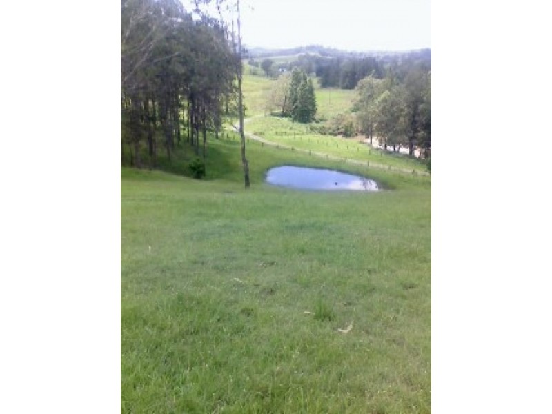 110 CAPEEN STREET, Bonalbo NSW 2469