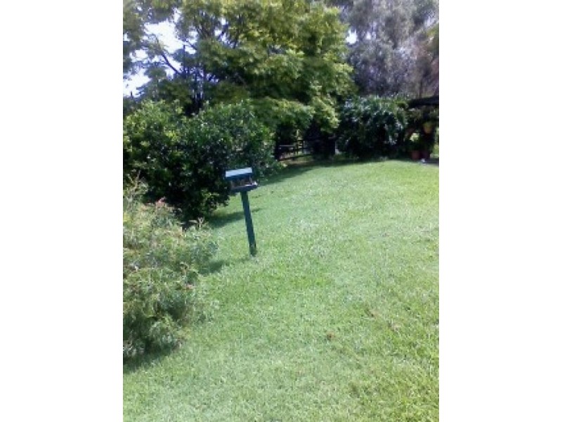 110 CAPEEN STREET, Bonalbo NSW 2469