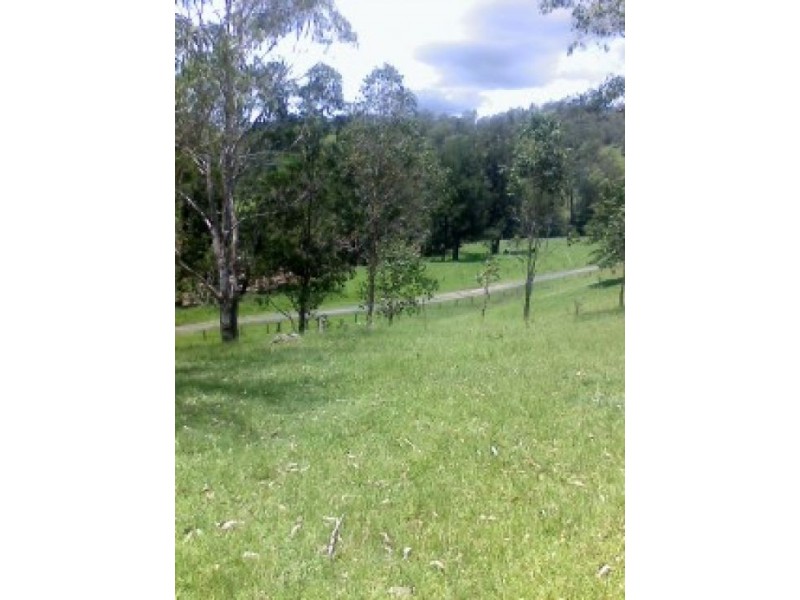 110 CAPEEN STREET, Bonalbo NSW 2469