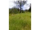 Old Bonalbo NSW 2469