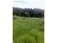 Old Bonalbo NSW 2469