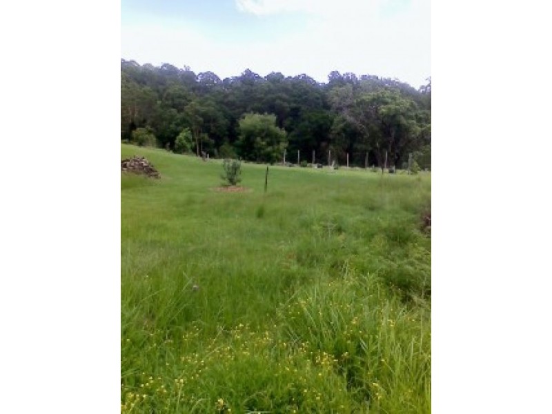 Old Bonalbo NSW 2469