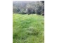 Old Bonalbo NSW 2469
