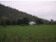1252 Tabulam Rd, Tabulam NSW 2469