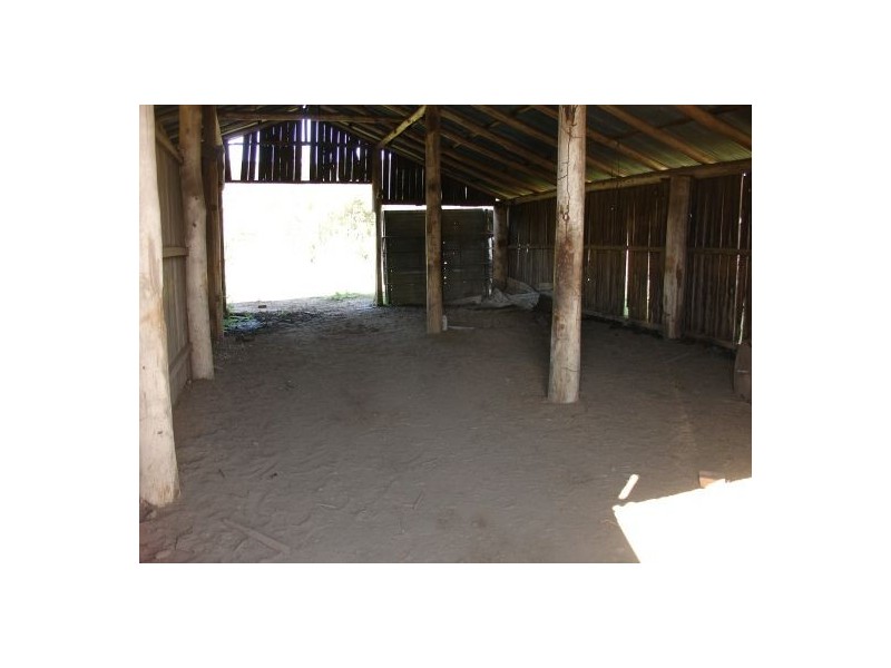 1252 Tabulam Rd, Tabulam NSW 2469