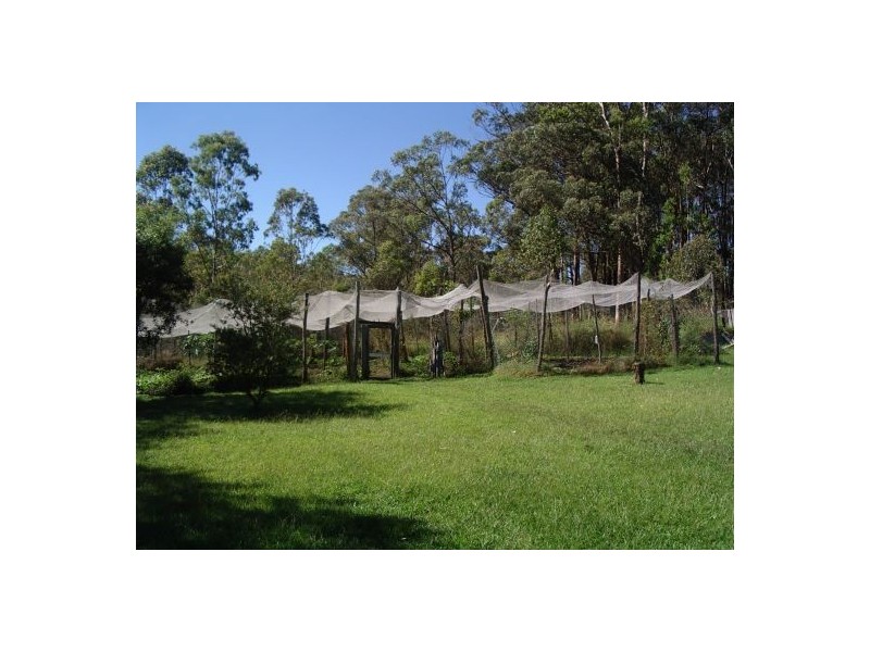 255 Long Gully Rd, Drake NSW 2469