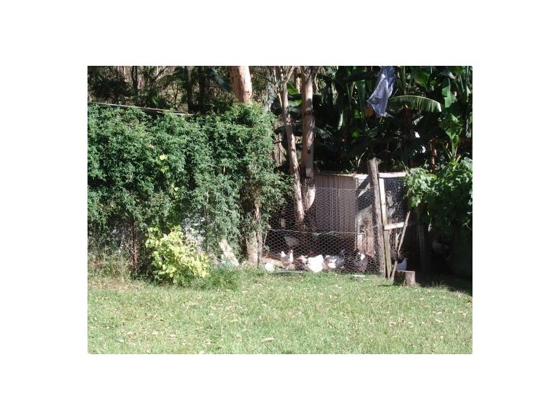 255 Long Gully Rd, Drake NSW 2469