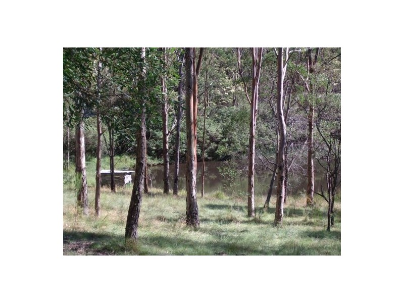 255 Long Gully Rd, Drake NSW 2469