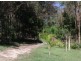 255 Long Gully Rd, Drake NSW 2469