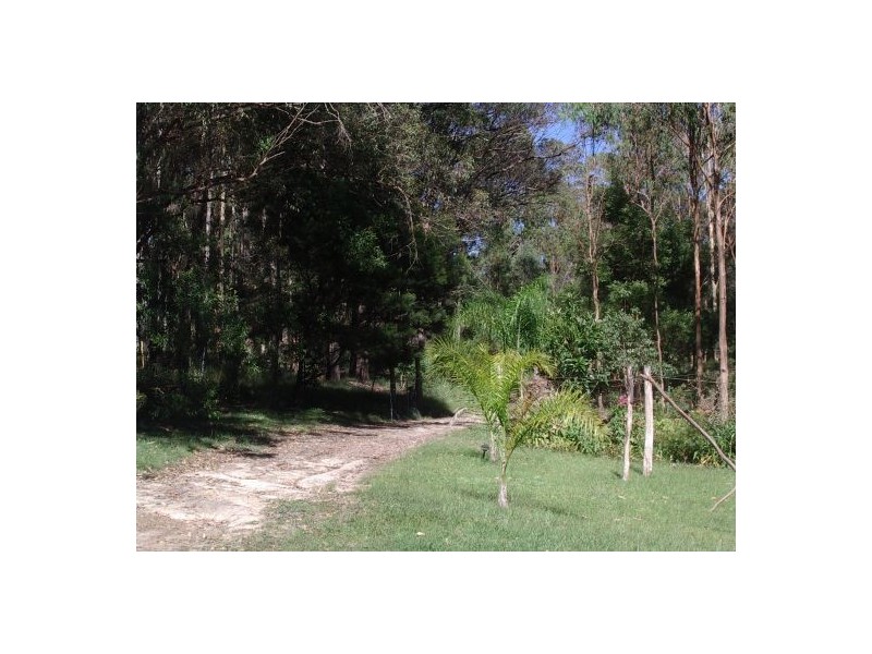 255 Long Gully Rd, Drake NSW 2469