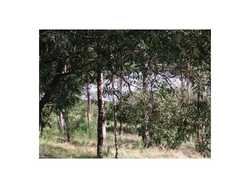 255 Long Gully Rd, Drake NSW 2469