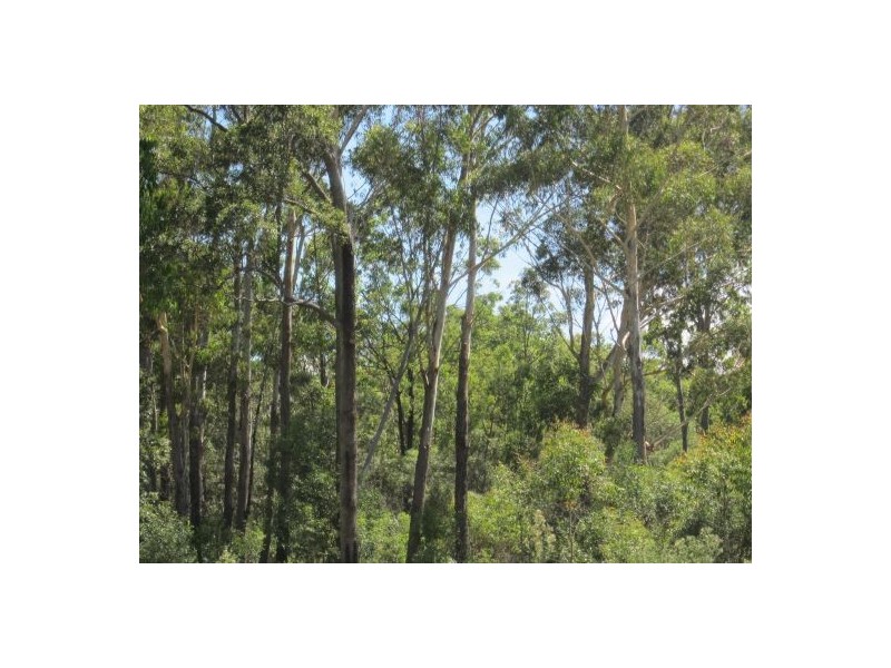 Rappville NSW 2469