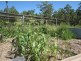 Rappville NSW 2469