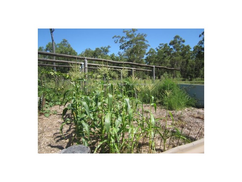 Rappville NSW 2469