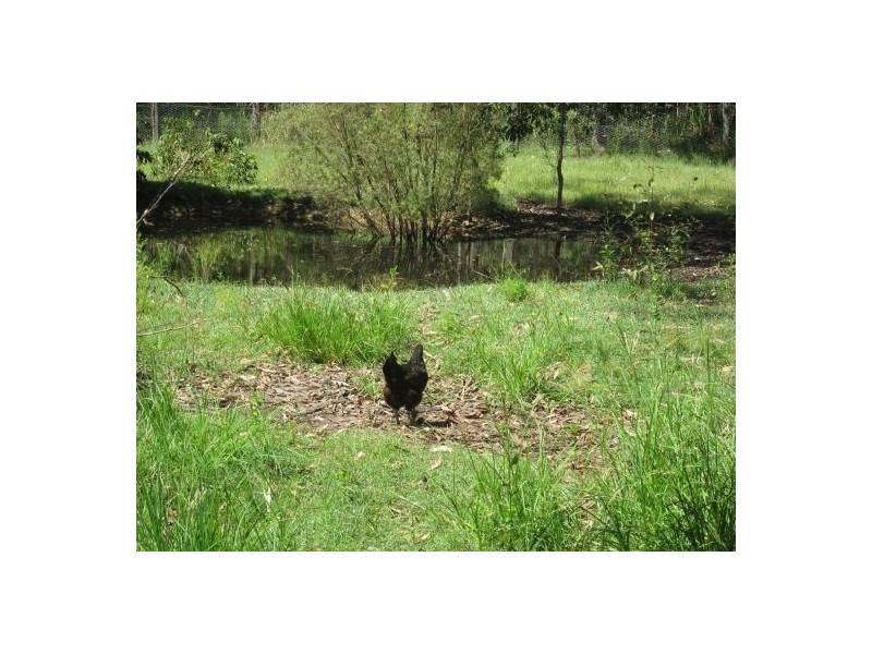 Rappville NSW 2469