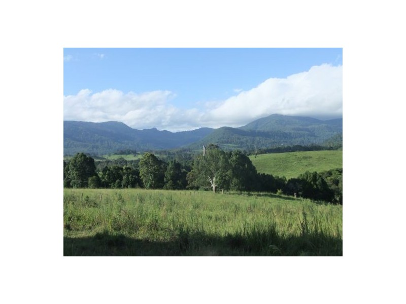 46  Kirkland Road, Nimbin NSW 2480