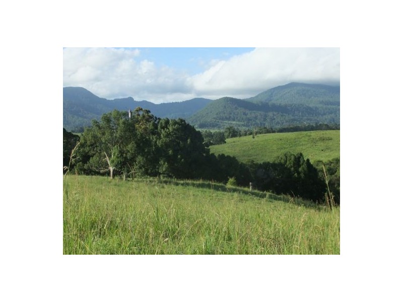 46  Kirkland Road, Nimbin NSW 2480