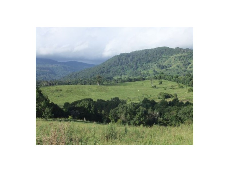 46  Kirkland Road, Nimbin NSW 2480