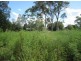 Rappville NSW 2469