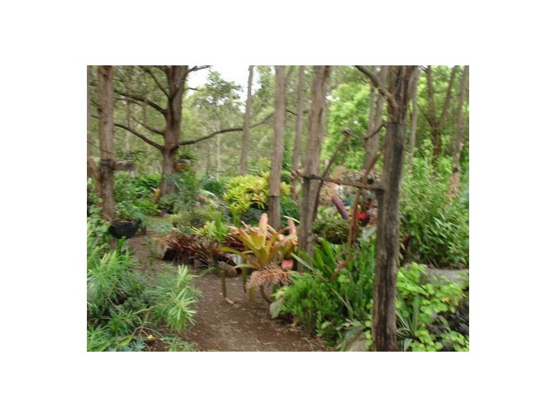 1553 PRETTY GULLY, Tabulam NSW 2469